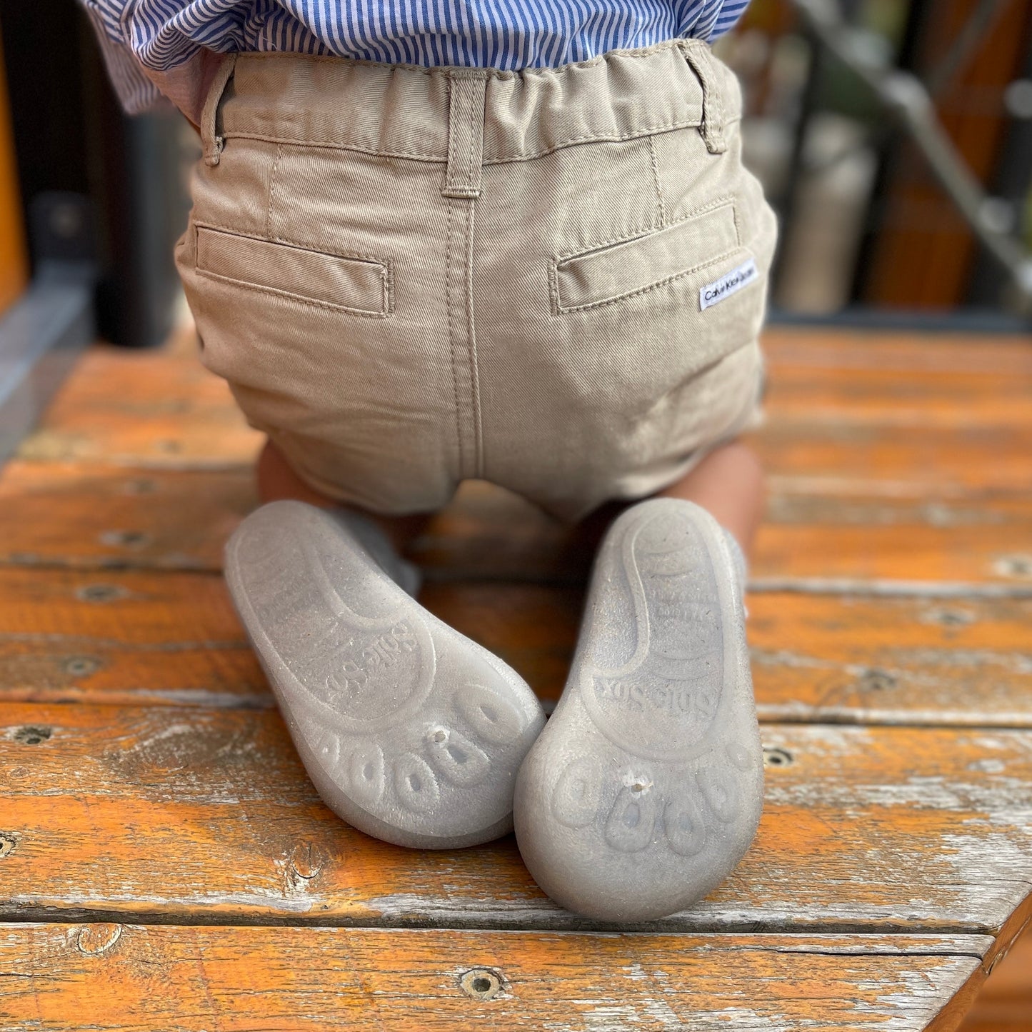 Grey Bear Pre-walker Baby Shoes